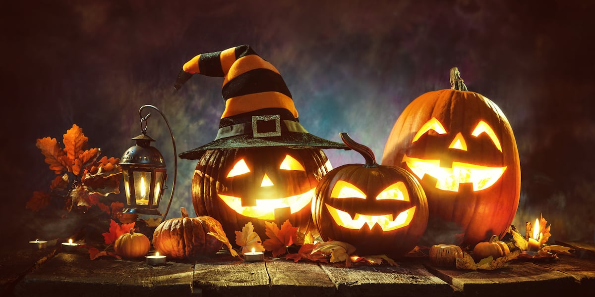 Pumpkin Glow festival with live music and Halloween activities