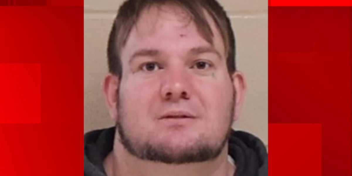 Assault News Image
