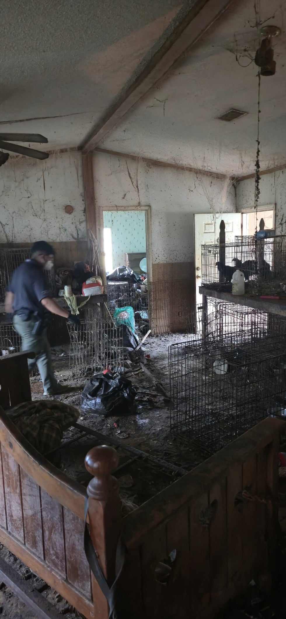 Thirteen dogs were rescued from a home in Haughton after officers found them in deplorable...