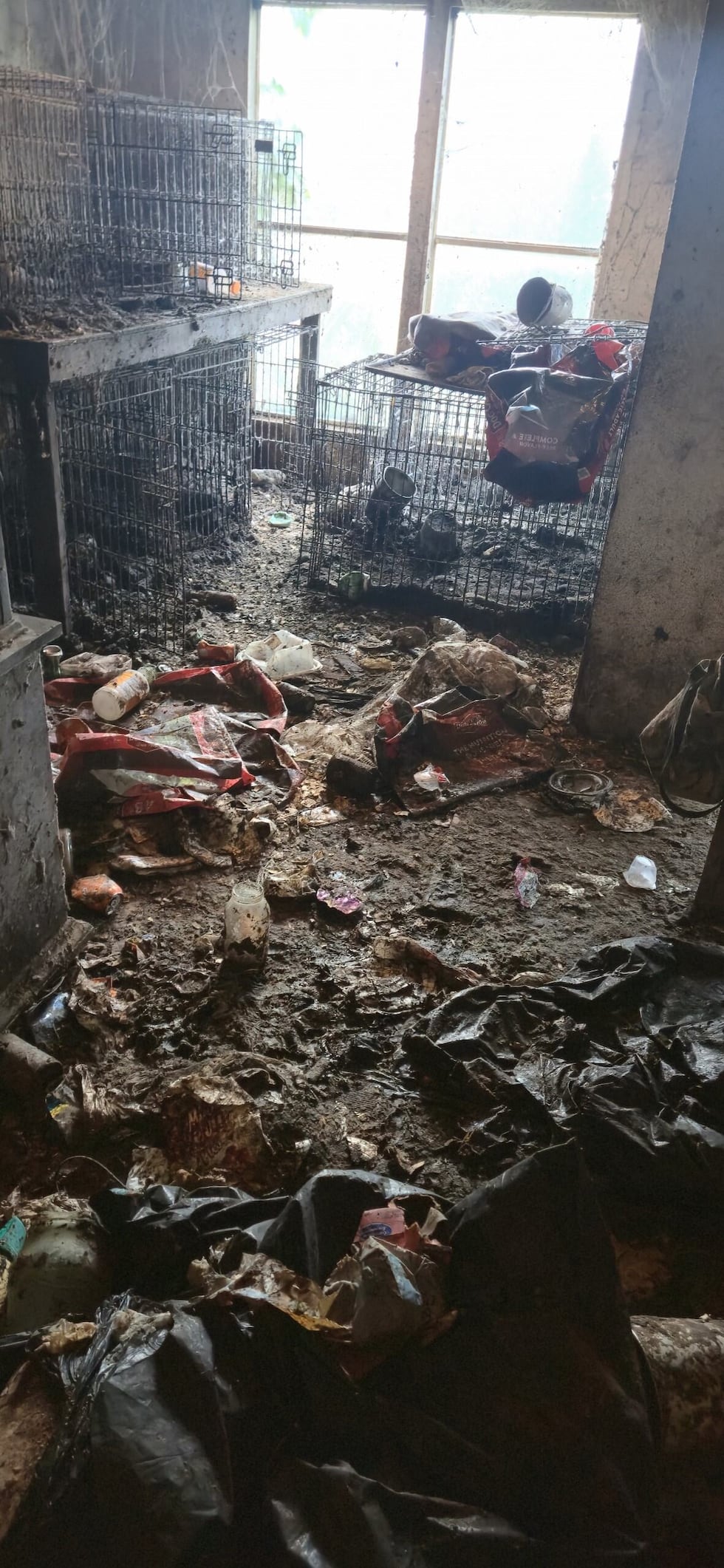 Thirteen dogs were rescued from a home in Haughton after officers found them in deplorable...