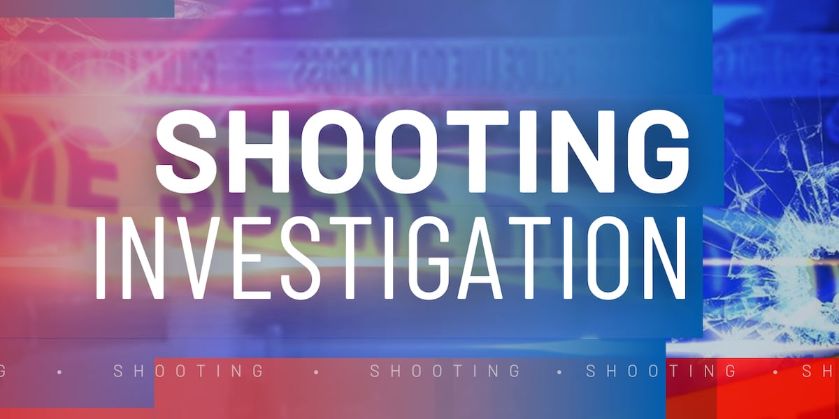 Shooting in Singapore's Lifestyle Apartments Leaves Several Injured, Including Young Children