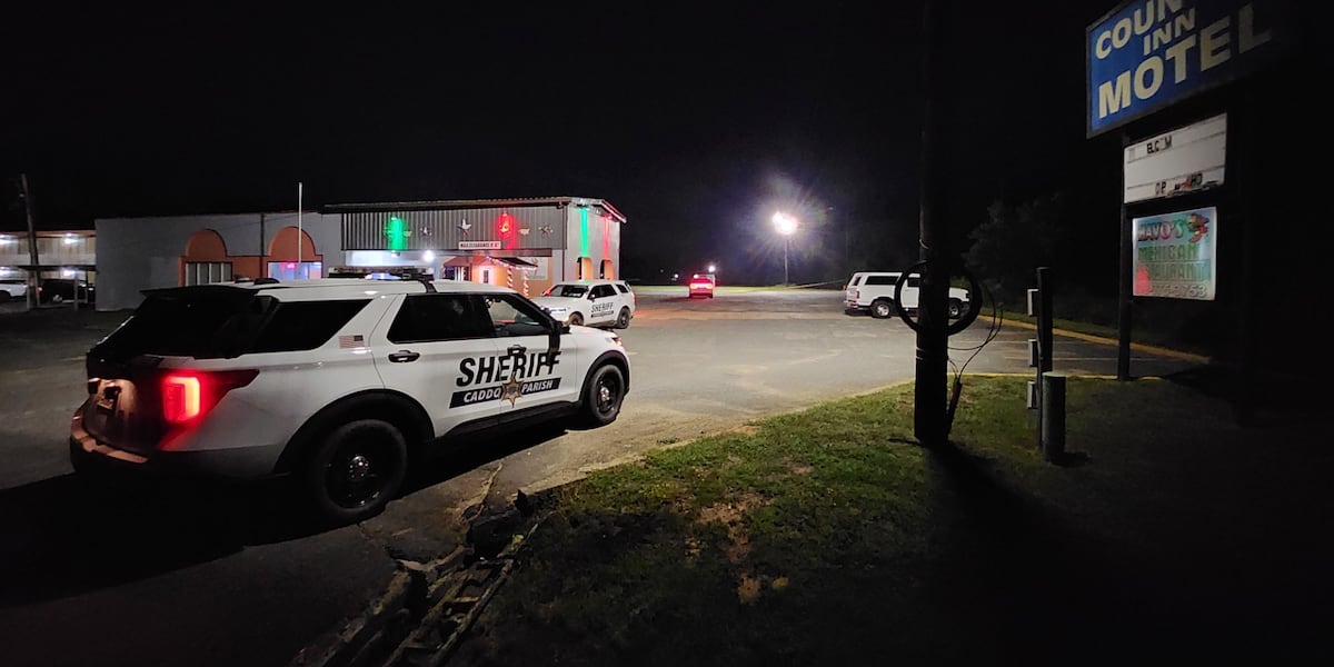 Assault News Image