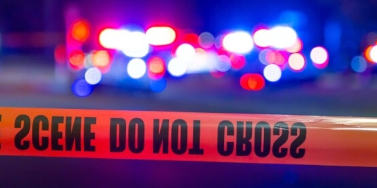 Shooting News Image
