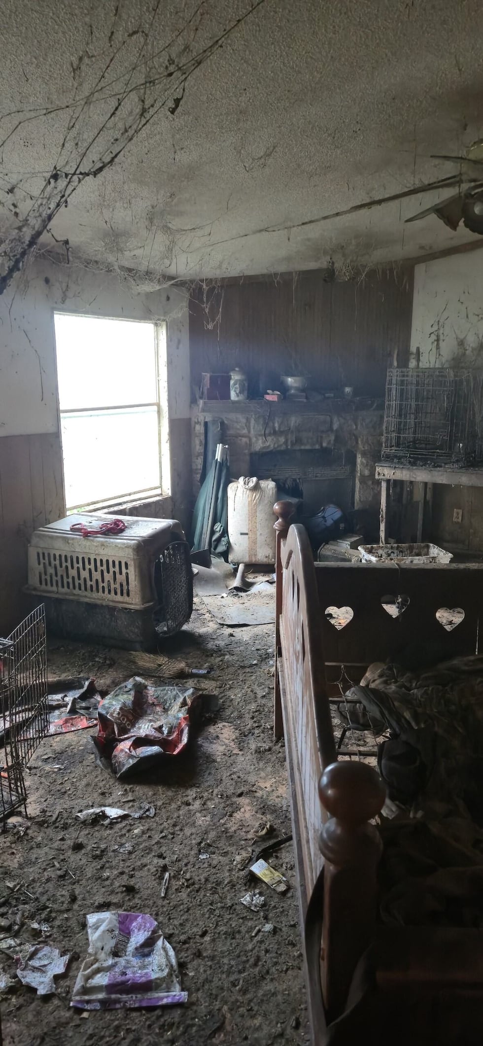 Thirteen dogs were rescued from a home in Haughton after officers found them in deplorable...