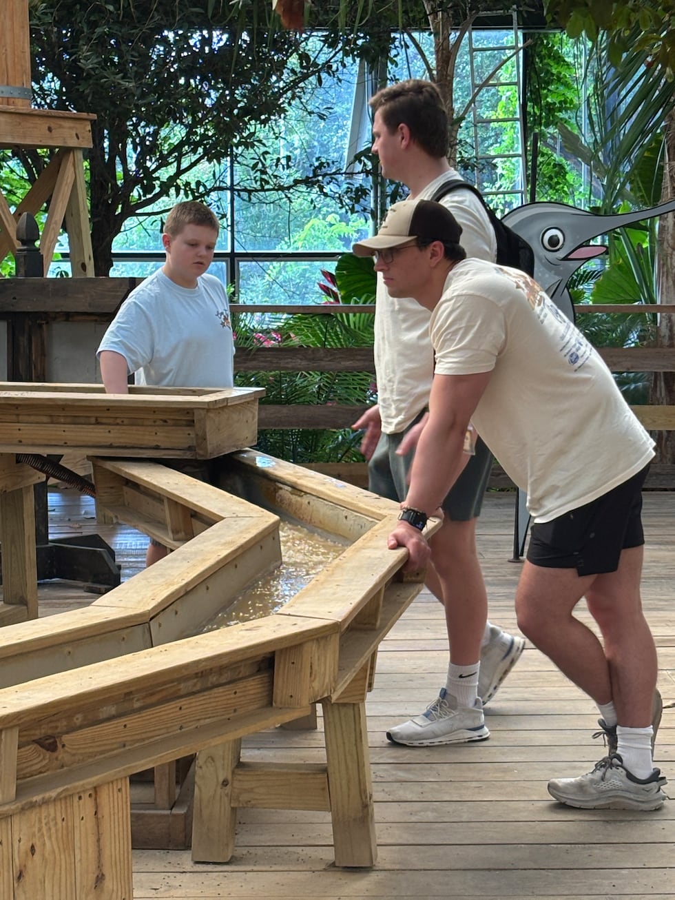 Kids participating in Camp Tiger spent a fun day at the Shreveport Aquarium Tuesday, June 9,...