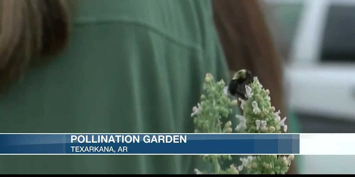 Ribbon-cutting held for new pollination garden at Gateway Farmers ...