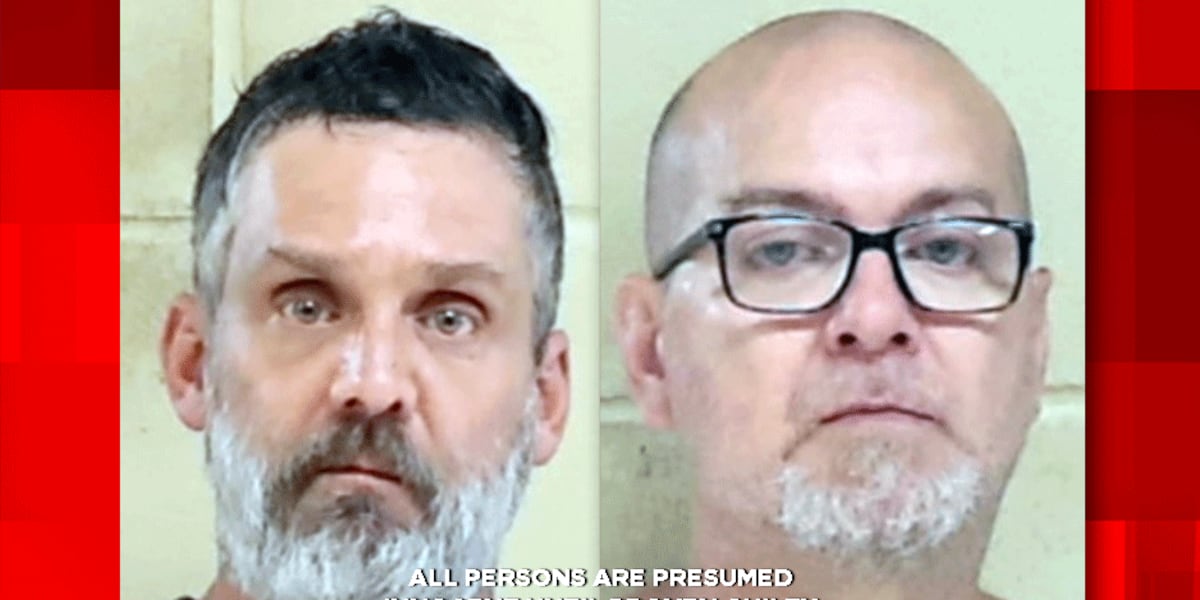 Assault News Image