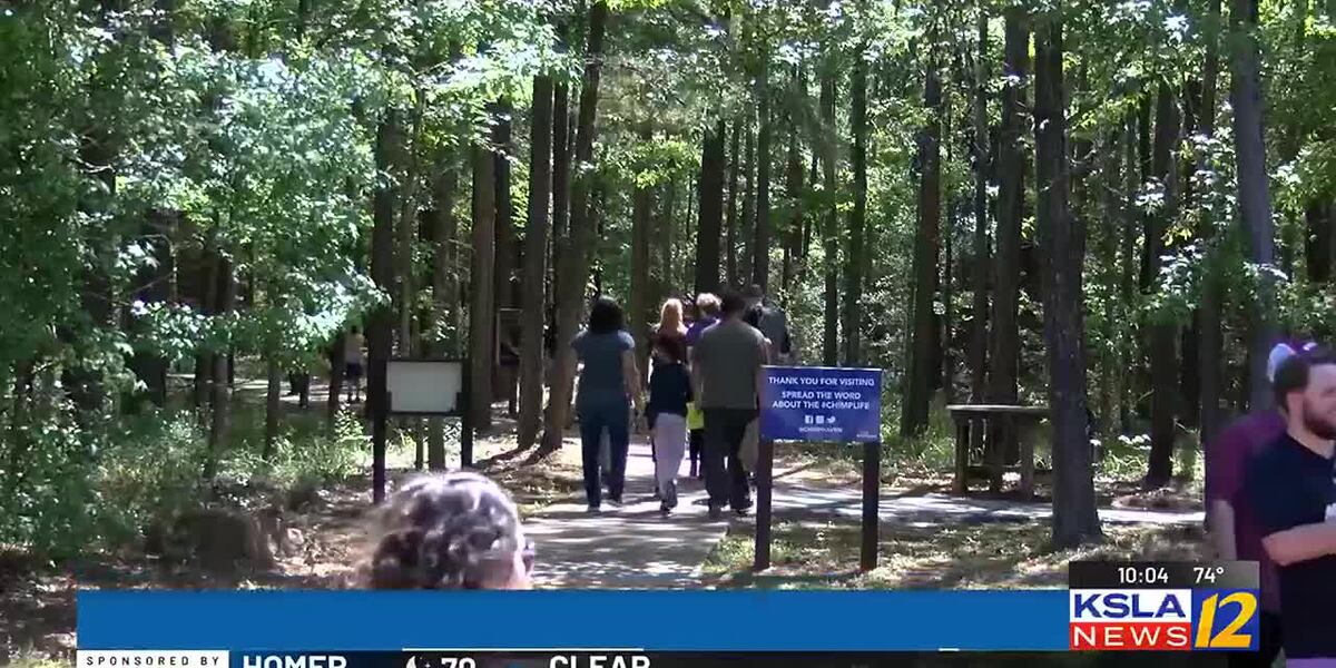 Chimp Haven welcomes hundreds of guests for Chimpanzee Discovery Day
