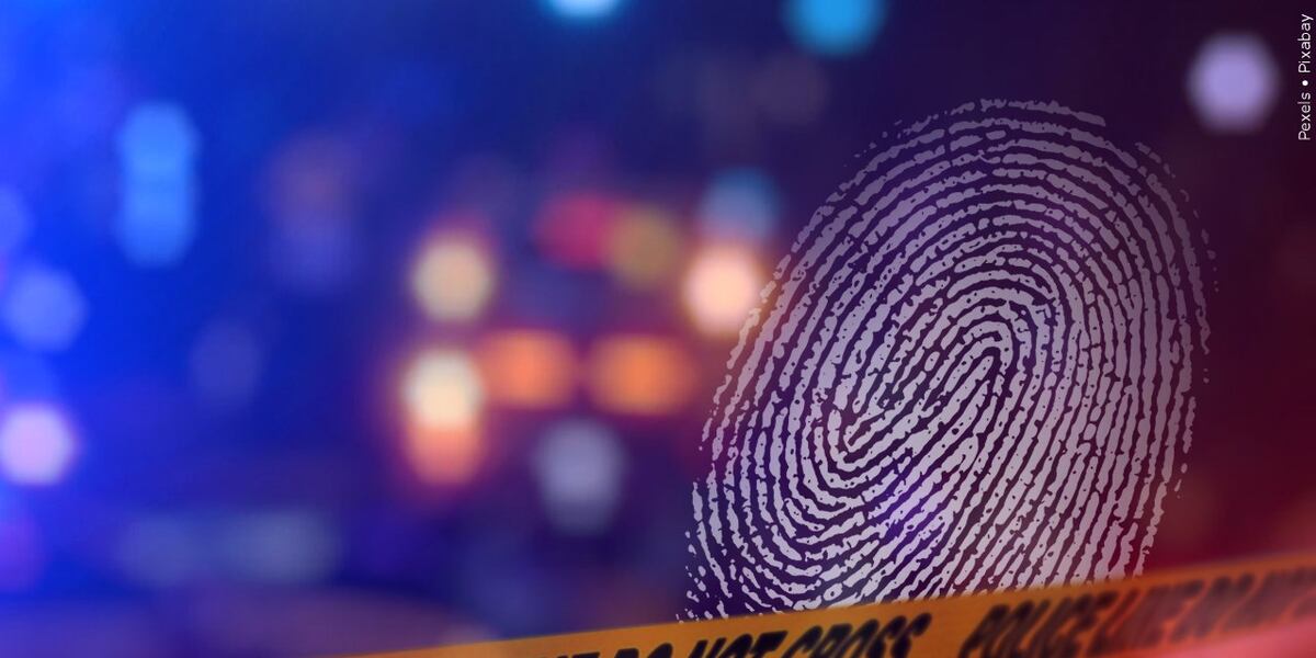 Shooting News Image