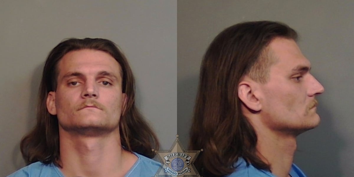 Assault News Image