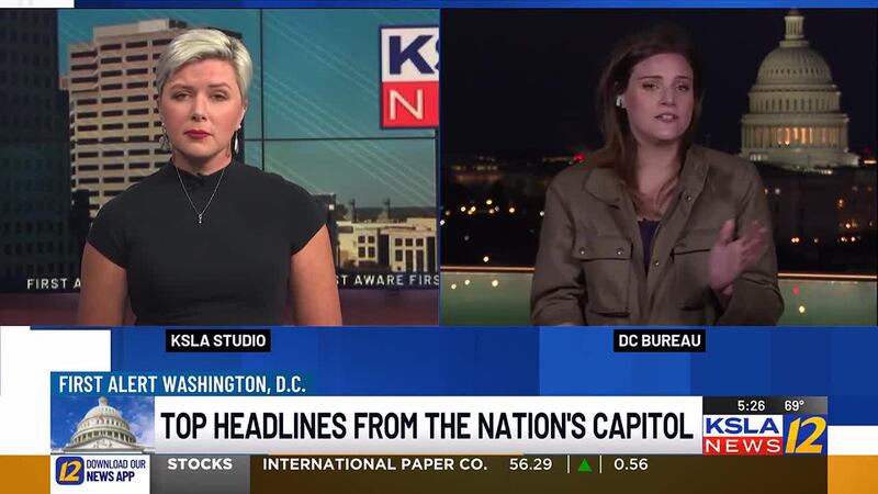 Elon Musk was focus of high-stakes Cabinet meeting