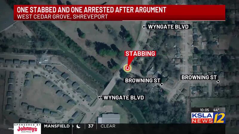 Officers learned that the victim, his sister and the reported suspect were having a verbal...